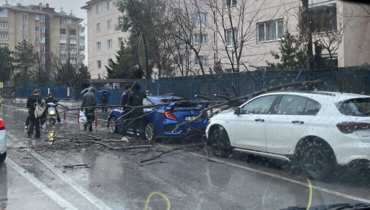 Fırtına Isparta’yı Vurdu: Ağaç Dalları Otomobilin Üzerine Düştü