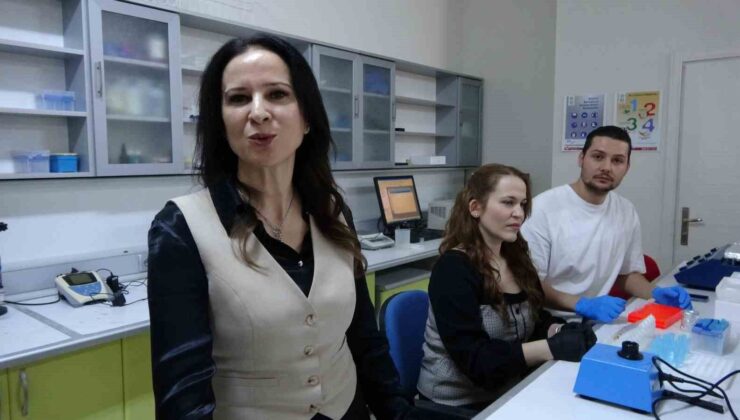 ISUBÜ’den Dev Hamle: 10 Farklı Bitki Türüyle Tuzlu Topraklarda Üretim Yeniden Başlıyor