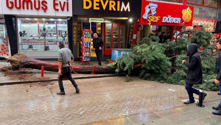 Isparta’da Fırtına Dehşeti: Dev Ağaç Yola Devrildi Sokak Kapandı