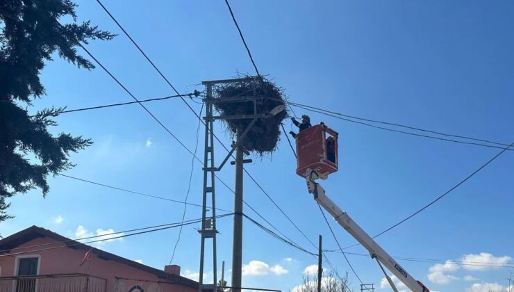 Leylekler Gelmeden Yuvaları Hazır: Akdeniz Elektrik’ten Aliköy’e Vefa