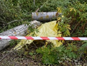 Keçiborlu’da Ağaç Dalı Keserken Yere Düşen Vatandaş Can Verdi