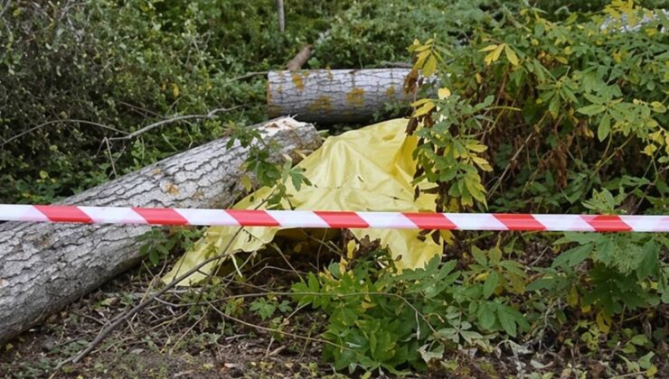 Keçiborlu’da Ağaç Dalı Keserken Yere Düşen Vatandaş Can Verdi